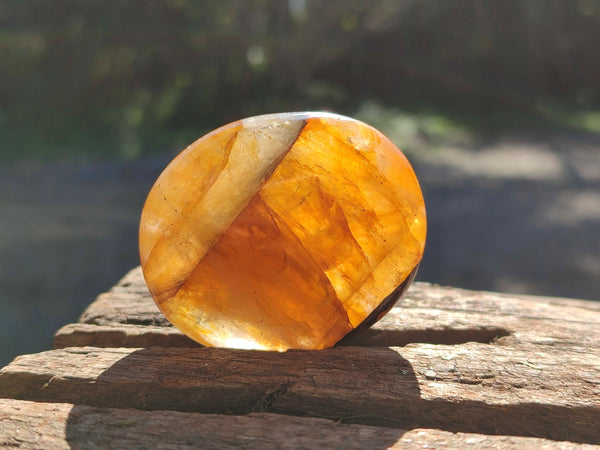 Polished Golden Healer Quartz Palm Stones x 20 From Madagascar