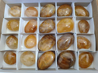 Polished Golden Healer Quartz Palm Stones x 20 From Madagascar