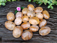 Polished Golden Healer Quartz Palm Stones x 20 From Madagascar