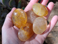 Polished Golden Healer Quartz Palm Stones x 20 From Madagascar