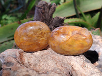 Polished Golden Healer Quartz Palm Stones x 20 From Madagascar