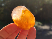 Polished Golden Healer Quartz Palm Stones x 20 From Madagascar