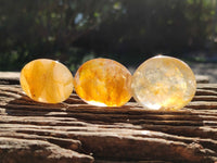 Polished Golden Healer Quartz Palm Stones x 20 From Madagascar