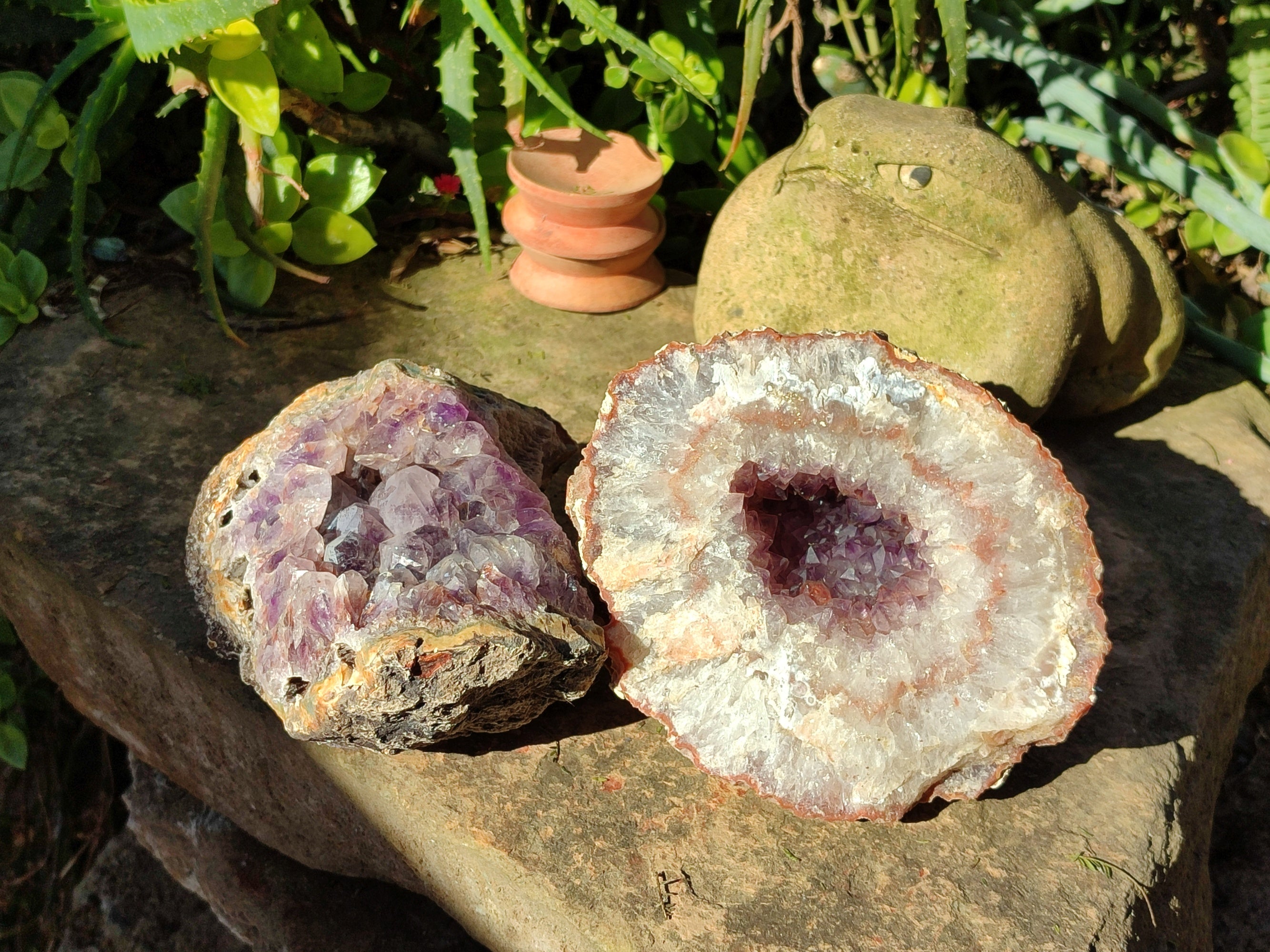 Natural Zululand Amethyst Geodes x 2 From Jozini, South Africa - Toprock Gemstones and Minerals 