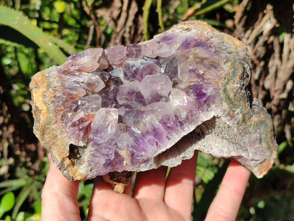 Natural Zululand Amethyst Geodes x 2 From Jozini, South Africa - Toprock Gemstones and Minerals 