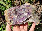 Natural Zululand Amethyst Geodes x 2 From Jozini, South Africa - Toprock Gemstones and Minerals 