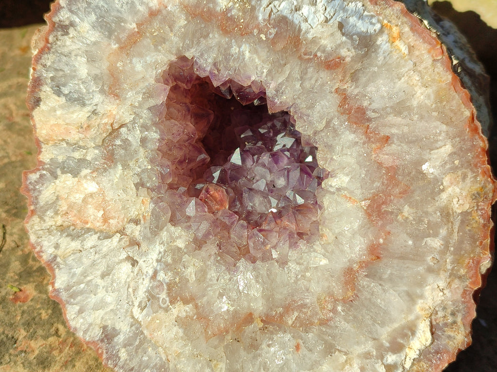 Natural Zululand Amethyst Geodes x 2 From Jozini, South Africa - Toprock Gemstones and Minerals 