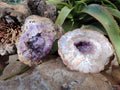 Natural Zululand Amethyst Geodes x 2 From Jozini, South Africa - Toprock Gemstones and Minerals 