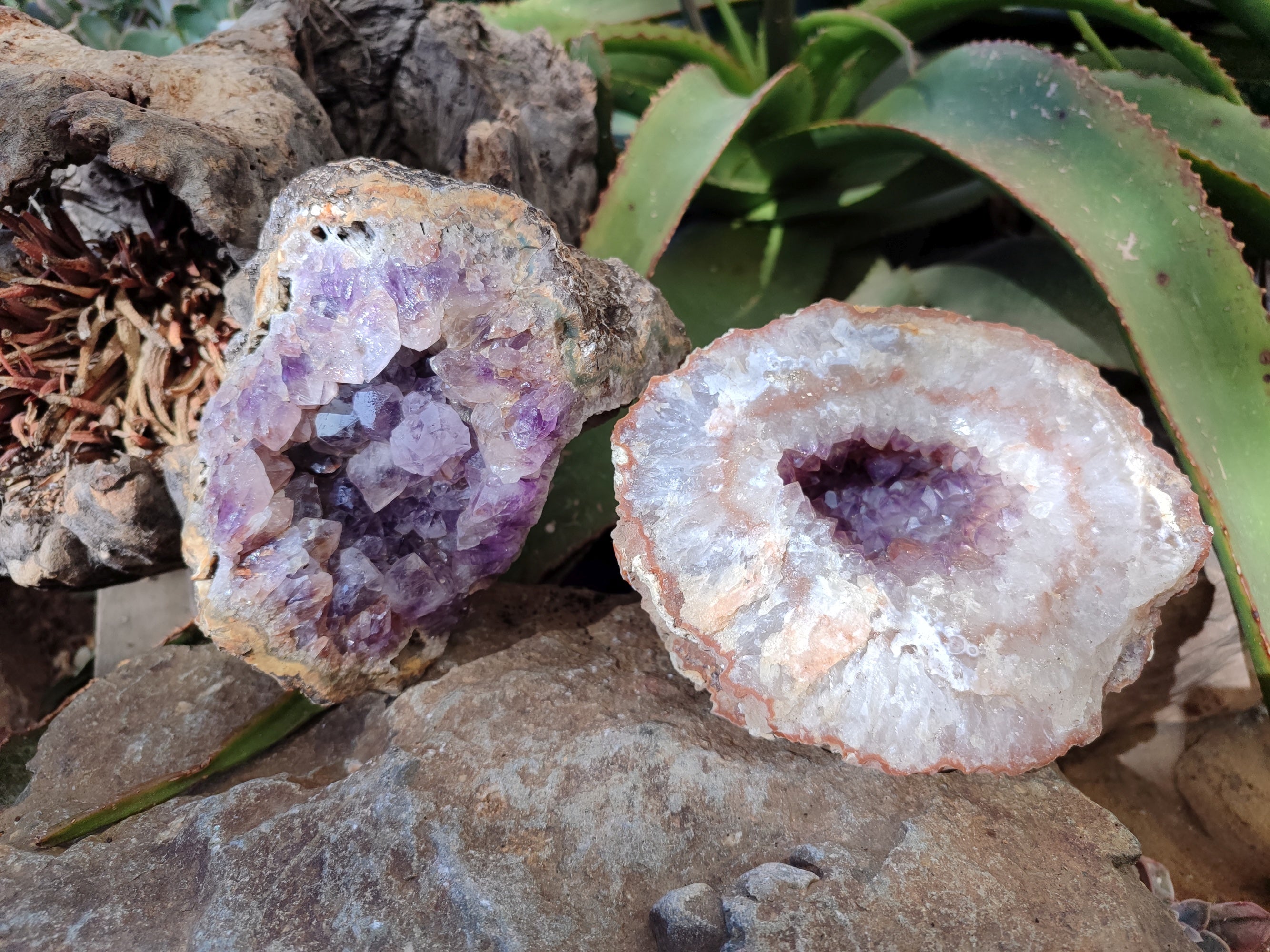 Natural Zululand Amethyst Geodes x 2 From Jozini, South Africa - Toprock Gemstones and Minerals 
