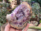 Natural Zululand Amethyst Geodes x 2 From Jozini, South Africa - Toprock Gemstones and Minerals 