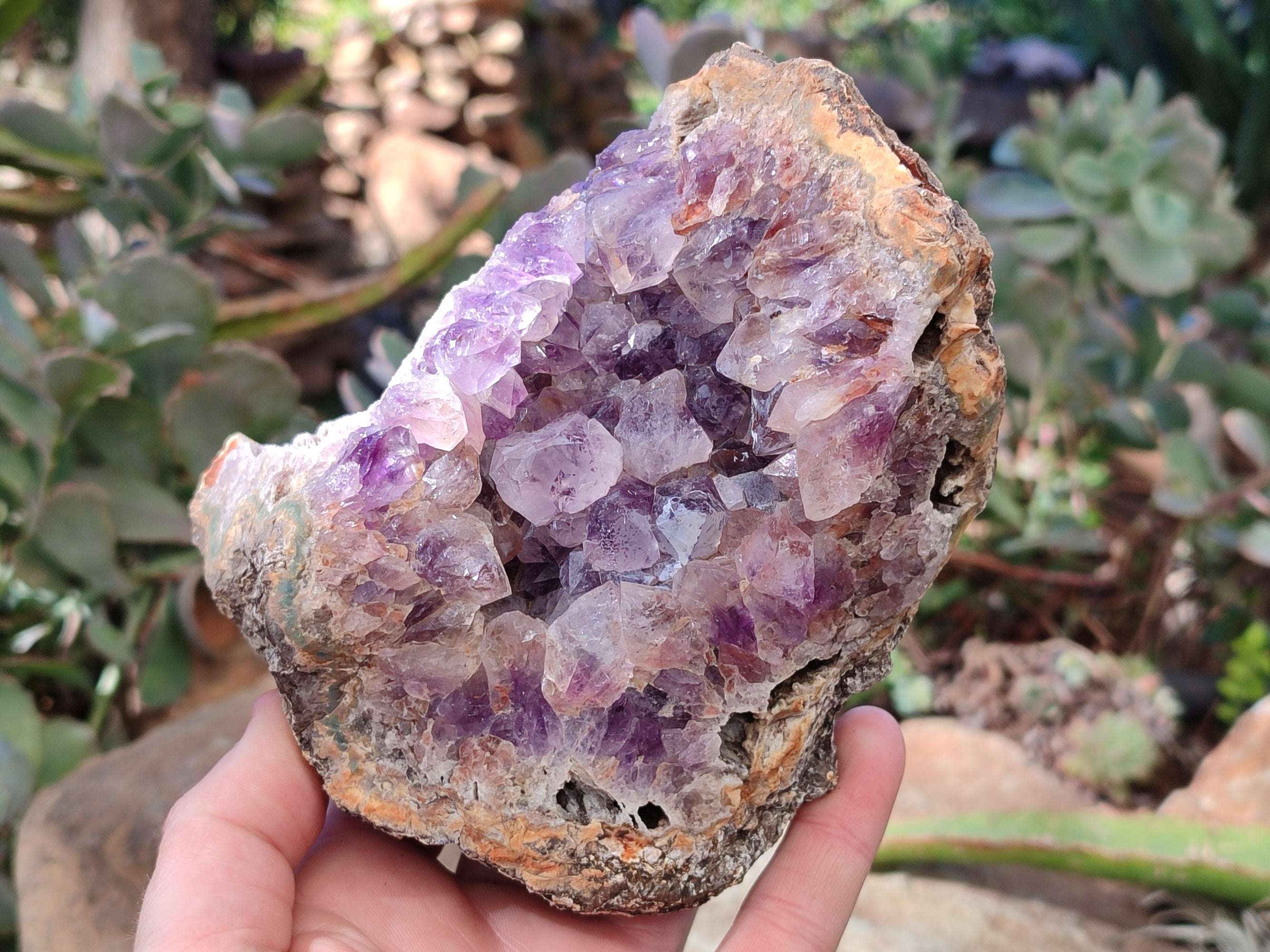Natural Zululand Amethyst Geodes x 2 From Jozini, South Africa - Toprock Gemstones and Minerals 
