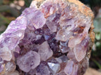 Natural Zululand Amethyst Geodes x 2 From Jozini, South Africa - Toprock Gemstones and Minerals 