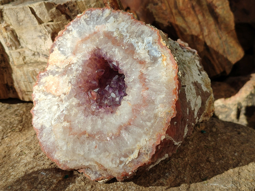 Natural Zululand Amethyst Geodes x 2 From Jozini, South Africa - Toprock Gemstones and Minerals 