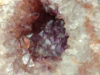 Natural Zululand Amethyst Geodes x 2 From Jozini, South Africa - Toprock Gemstones and Minerals 