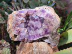 Natural Zululand Amethyst Geodes x 2 From Jozini, South Africa - Toprock Gemstones and Minerals 