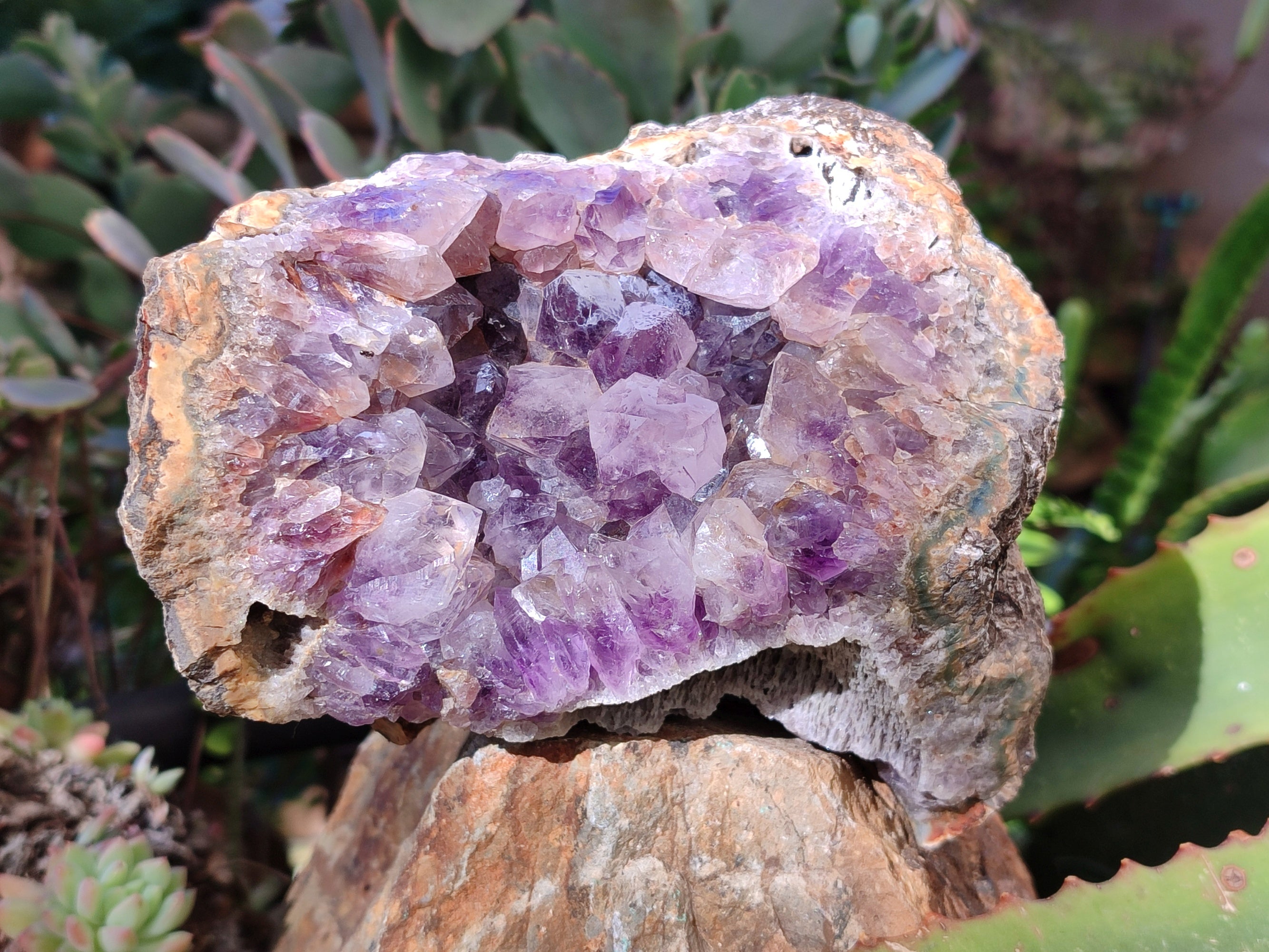 Natural Zululand Amethyst Geodes x 2 From Jozini, South Africa - Toprock Gemstones and Minerals 