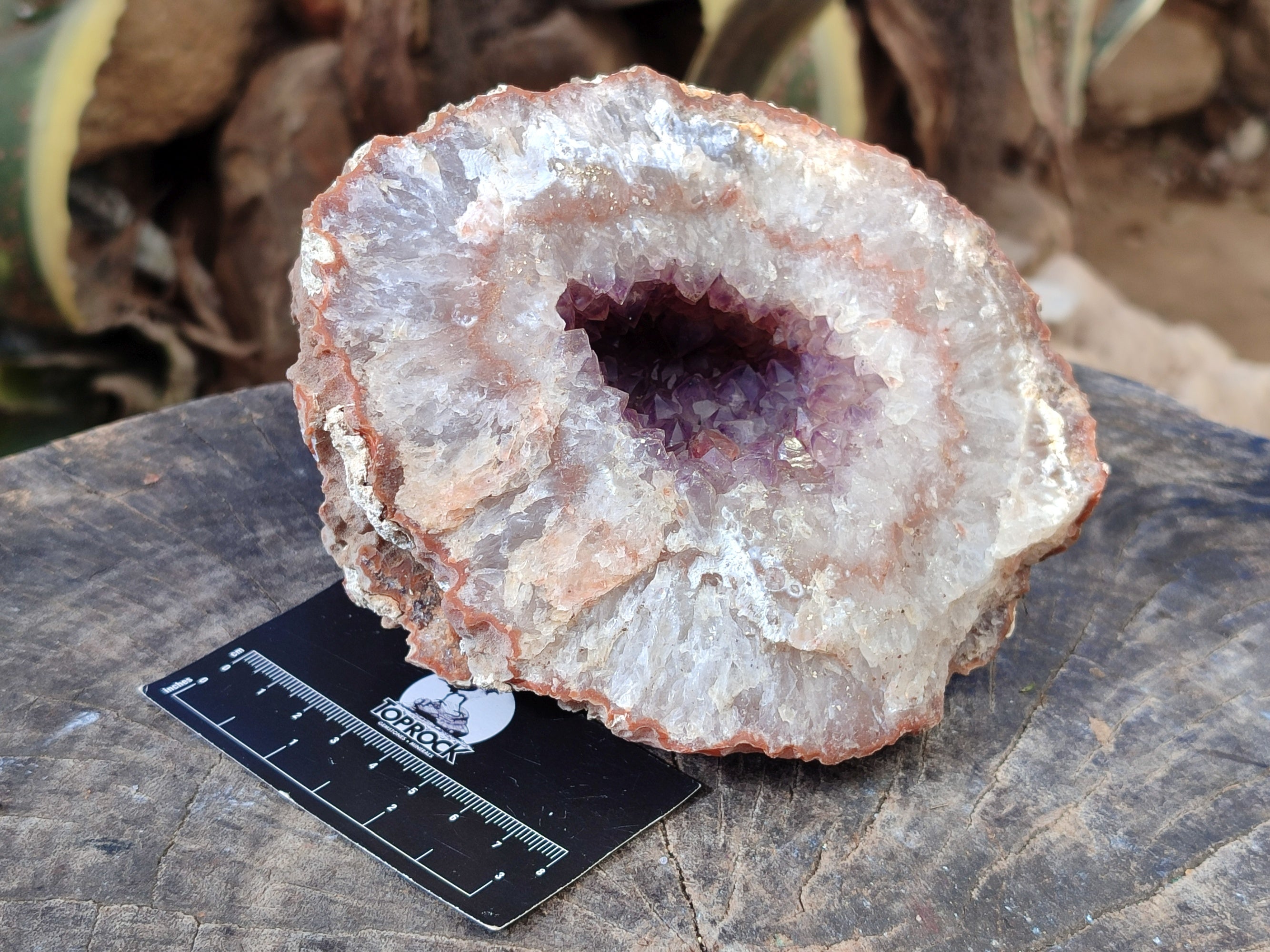 Natural Zululand Amethyst Geodes x 2 From Jozini, South Africa - Toprock Gemstones and Minerals 