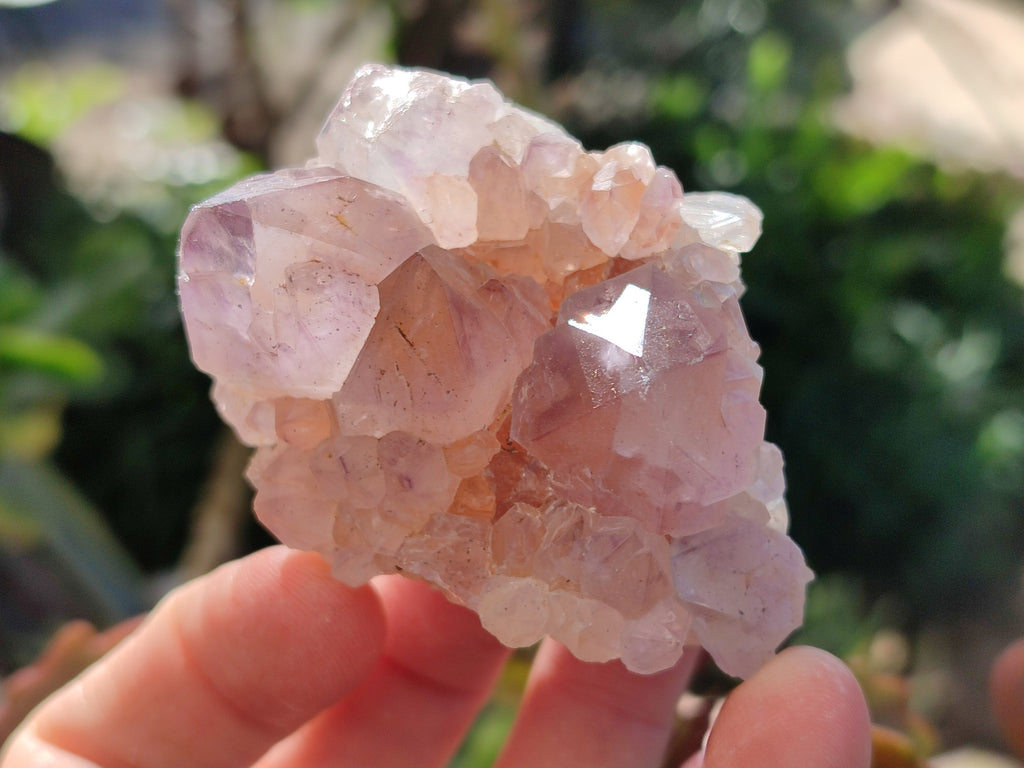 Natural Amethyst Spirit Quartz Clusters x 12 From Boekenhouthoek, South Africa - Toprock Gemstones and Minerals 