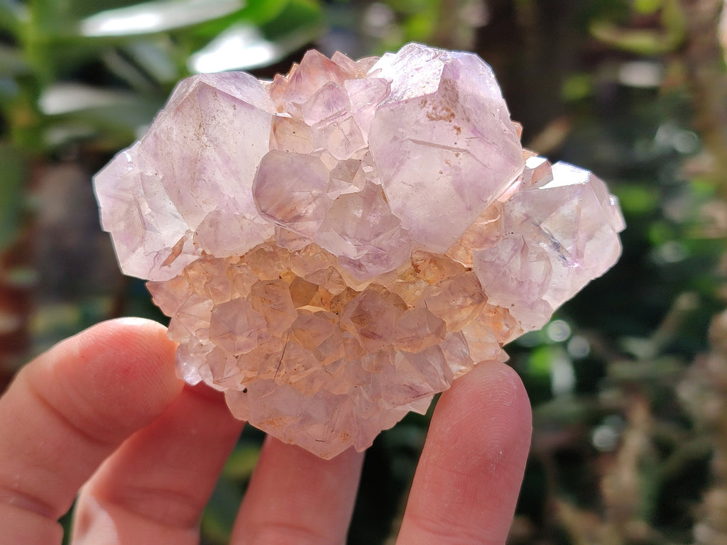 Natural Amethyst Spirit Quartz Clusters x 12 From Boekenhouthoek, South Africa - Toprock Gemstones and Minerals 