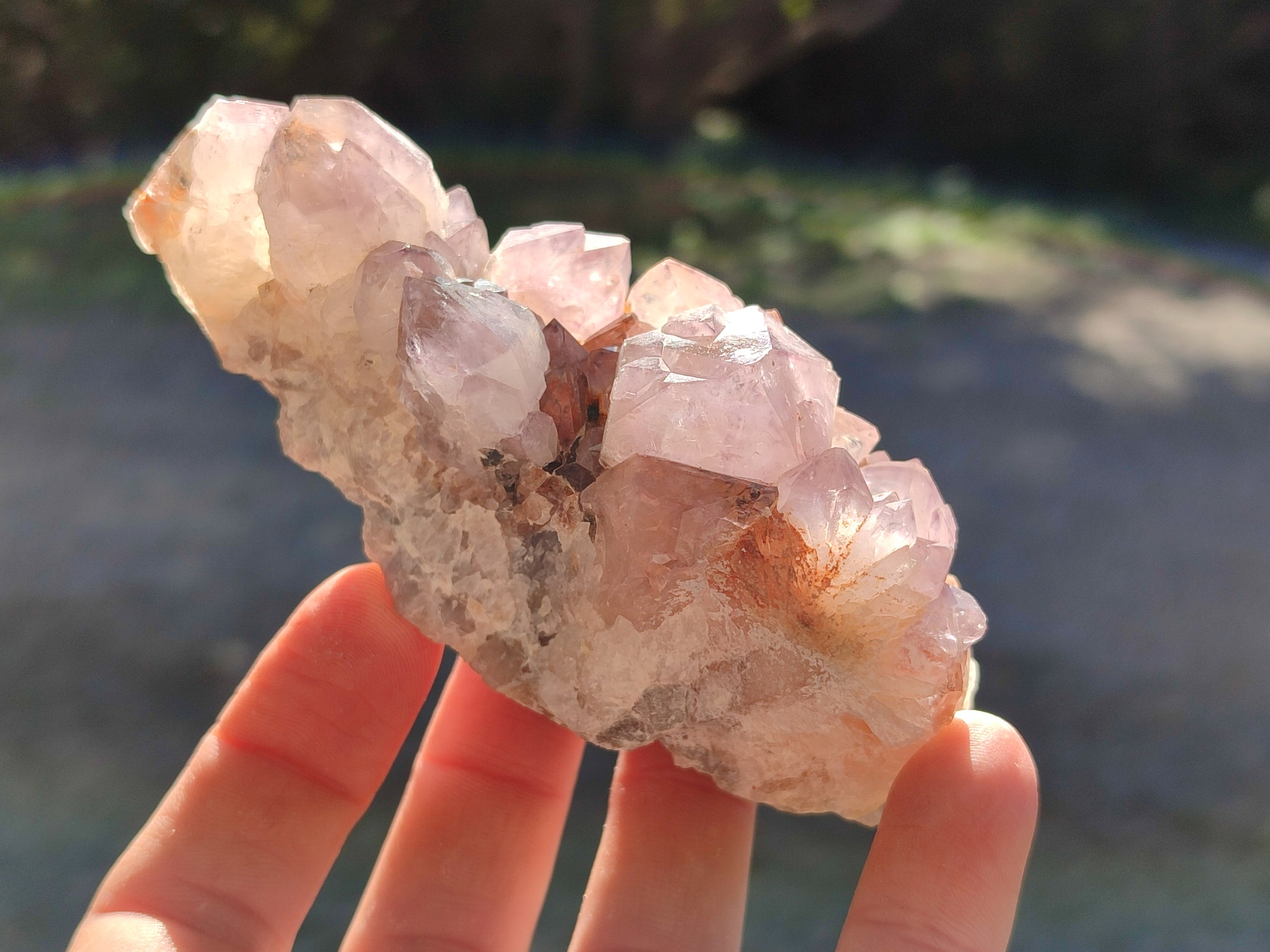 Natural Amethyst Spirit Quartz Clusters x 12 From Boekenhouthoek, South Africa - Toprock Gemstones and Minerals 