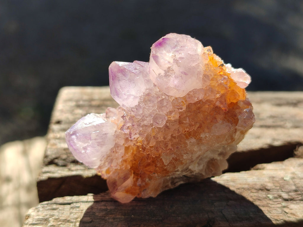 Natural Amethyst Spirit Quartz Clusters x 12 From Boekenhouthoek, South Africa - Toprock Gemstones and Minerals 