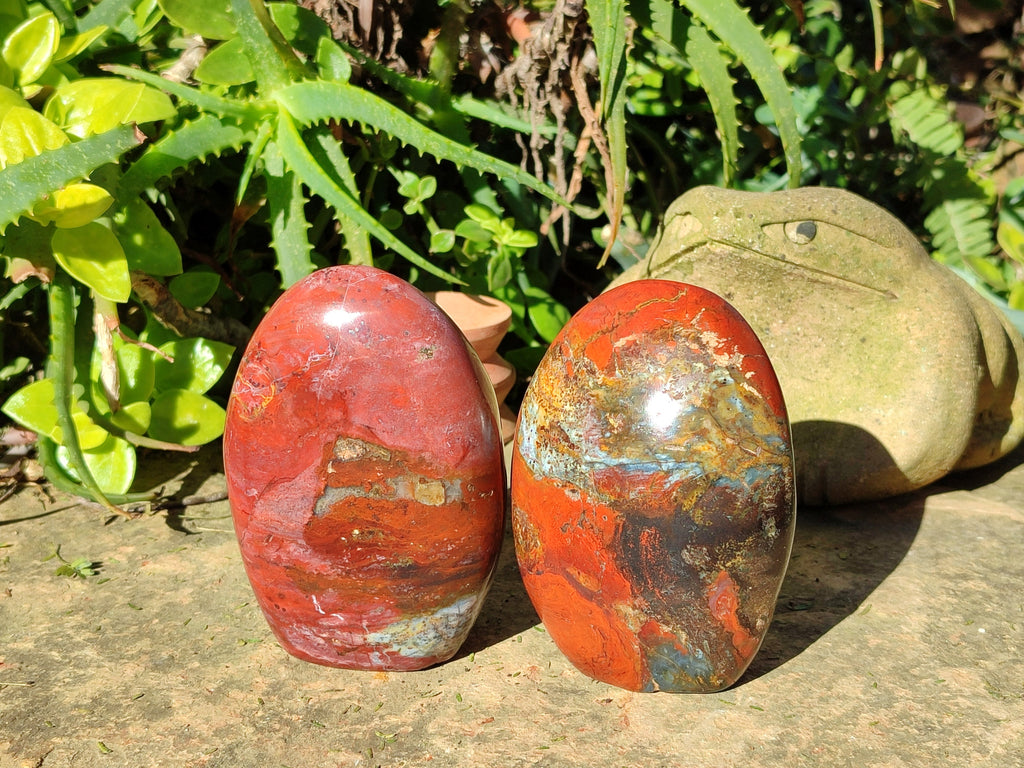 Polished Red Jasper Standing Free Forms x 3 From Madagascar - Toprock Gemstones and Minerals 