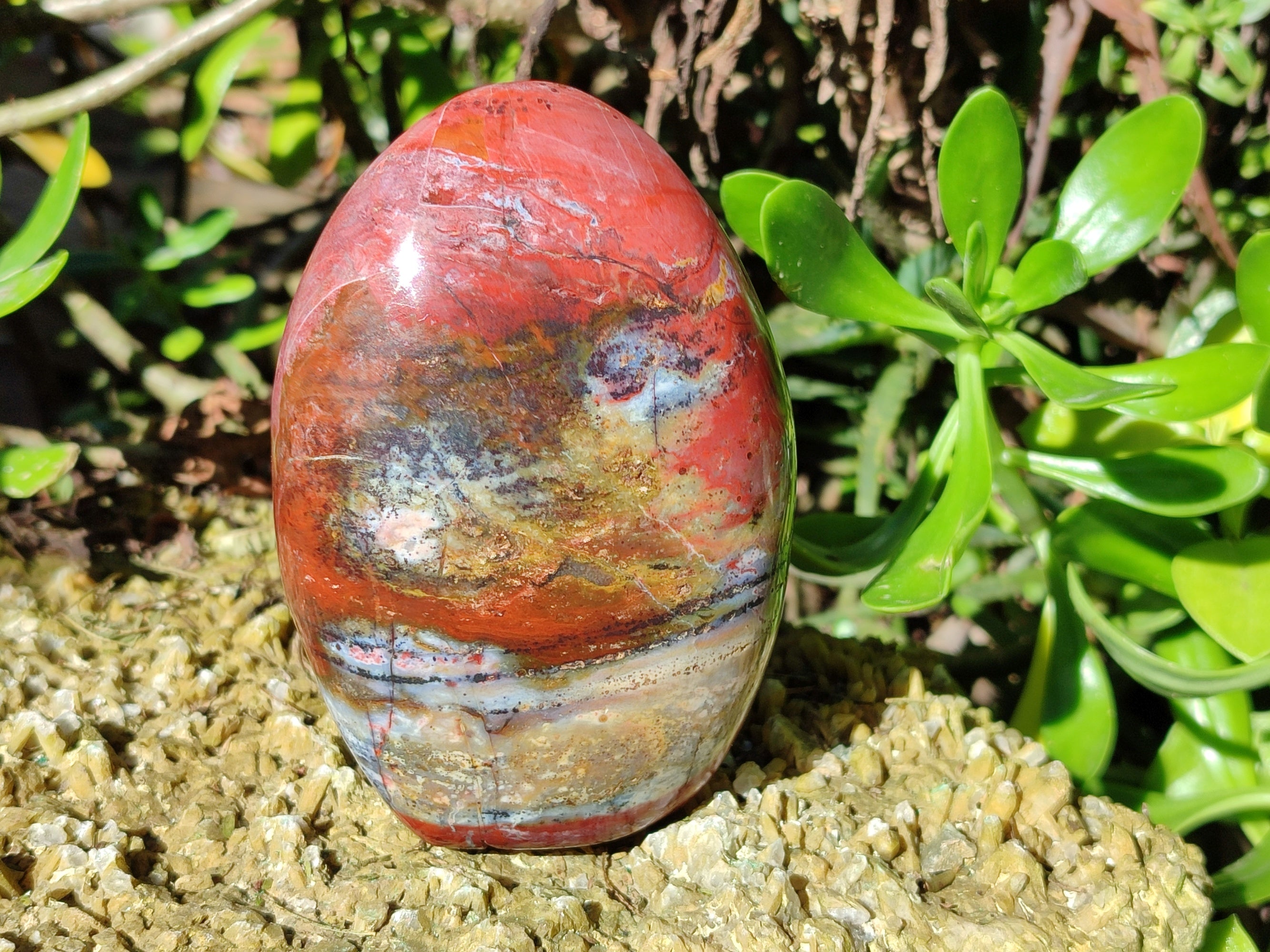 Polished Red Jasper Standing Free Forms x 3 From Madagascar - Toprock Gemstones and Minerals 