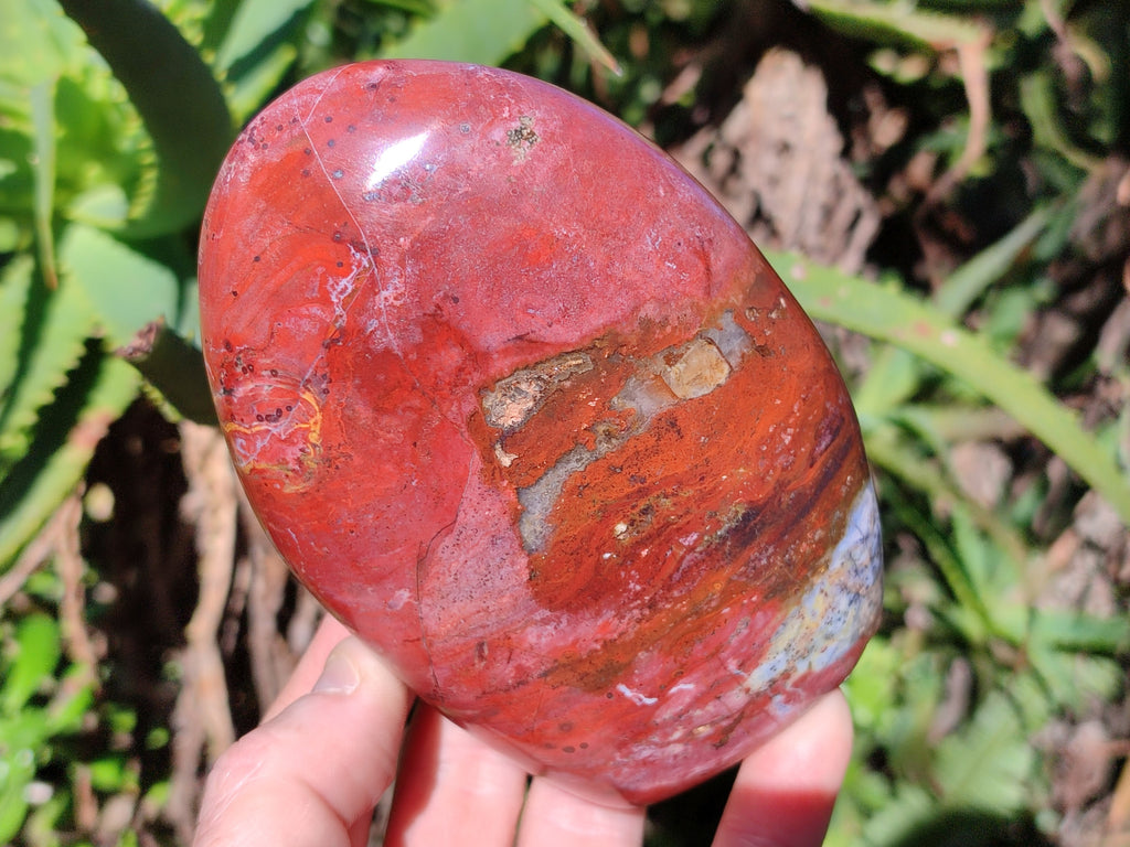 Polished Red Jasper Standing Free Forms x 3 From Madagascar - Toprock Gemstones and Minerals 