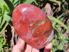 Polished Red Jasper Standing Free Forms x 3 From Madagascar - Toprock Gemstones and Minerals 
