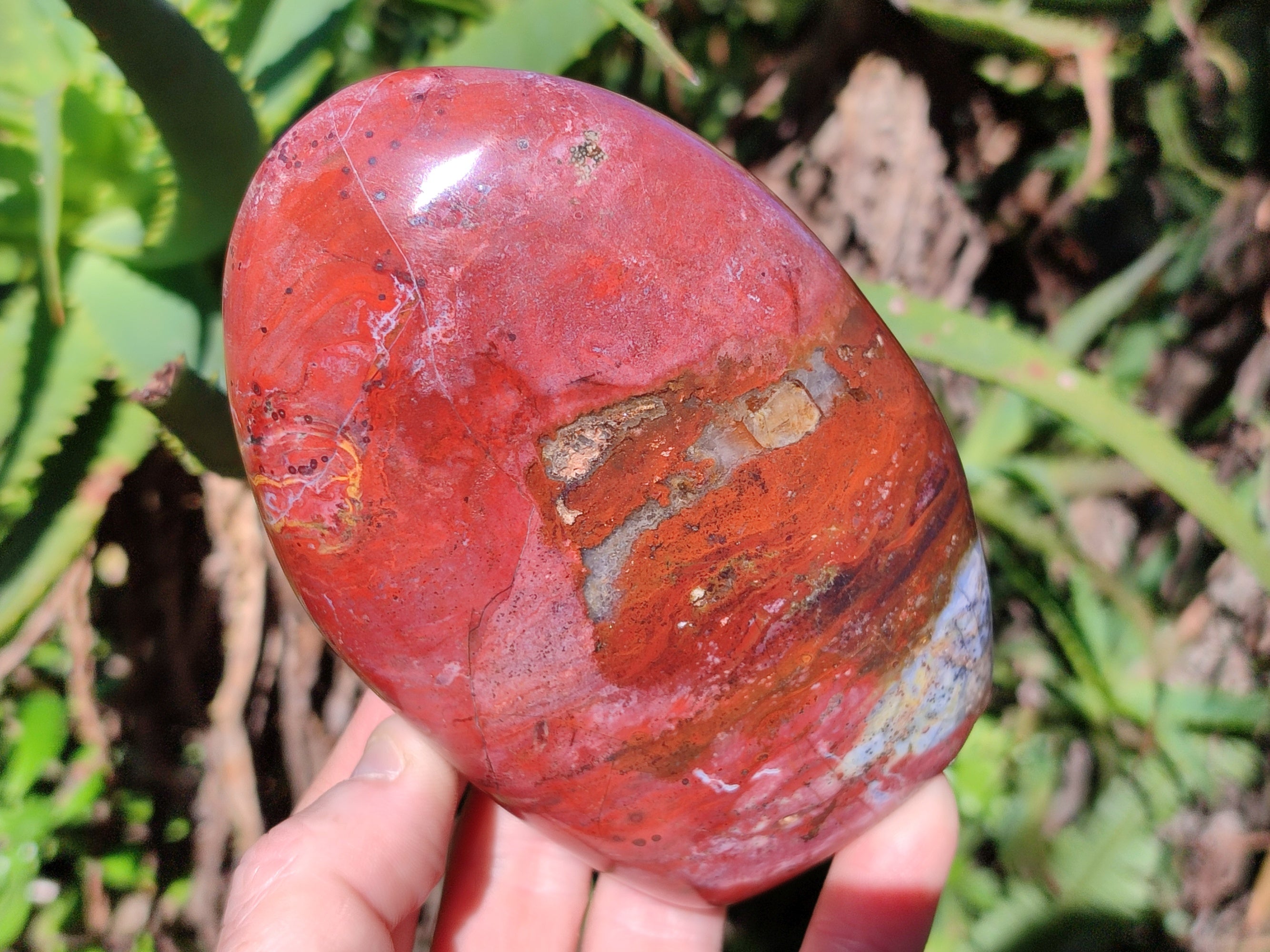 Polished Red Jasper Standing Free Forms x 3 From Madagascar - Toprock Gemstones and Minerals 