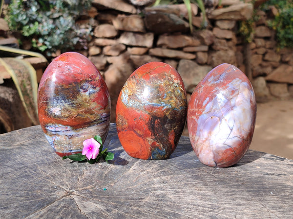 Polished Red Jasper Standing Free Forms x 3 From Madagascar
