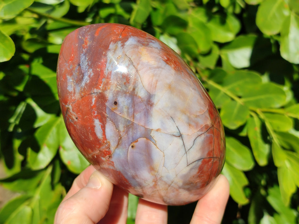 Polished Red Jasper Standing Free Forms x 3 From Madagascar - Toprock Gemstones and Minerals 