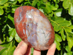 Polished Red Jasper Standing Free Forms x 3 From Madagascar - Toprock Gemstones and Minerals 