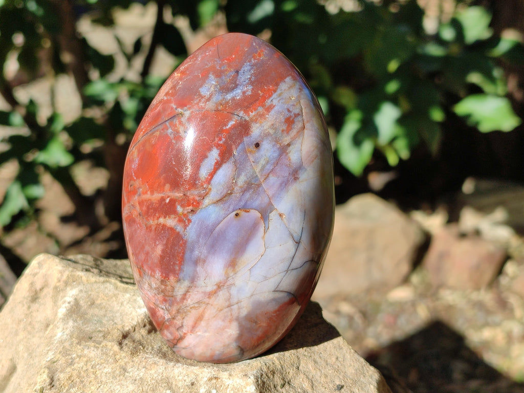 Polished Red Jasper Standing Free Forms x 3 From Madagascar - Toprock Gemstones and Minerals 