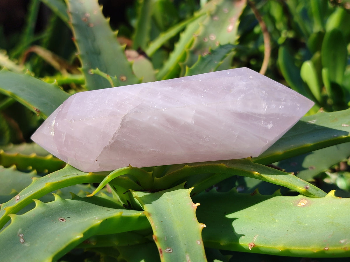Polished Double Terminated Rose Quartz Points x 6 Ambatondrazaka, Madagascar - Toprock Gemstones and Minerals 