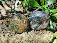 Polished Green Chrysoprase Palm Stones x 24 From Madagascar - Toprock Gemstones and Minerals 