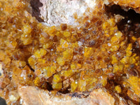 Natural Extra Large Golden Limonite Quartz Cluster x 1 From Solwezi, Zambia - Toprock Gemstones and Minerals 