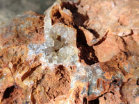 Natural Extra Large Golden Limonite Quartz Cluster x 1 From Solwezi, Zambia - Toprock Gemstones and Minerals 
