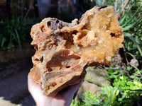 Natural Extra Large Golden Limonite Quartz Cluster x 1 From Solwezi, Zambia - Toprock Gemstones and Minerals 