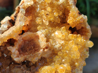 Natural Extra Large Golden Limonite Quartz Cluster x 1 From Solwezi, Zambia - Toprock Gemstones and Minerals 
