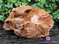 Natural Extra Large Golden Limonite Quartz Cluster x 1 From Solwezi, Zambia - Toprock Gemstones and Minerals 