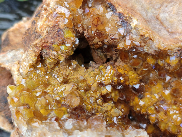 Natural Extra Large Golden Limonite Quartz Cluster x 1 From Solwezi, Zambia - Toprock Gemstones and Minerals 
