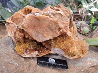 Natural Extra Large Golden Limonite Quartz Cluster x 1 From Solwezi, Zambia - Toprock Gemstones and Minerals 