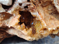 Natural Extra Large Golden Limonite Quartz Cluster x 1 From Solwezi, Zambia - Toprock Gemstones and Minerals 
