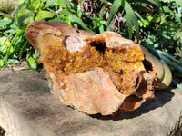 Natural Extra Large Golden Limonite Quartz Cluster x 1 From Solwezi, Zambia - Toprock Gemstones and Minerals 