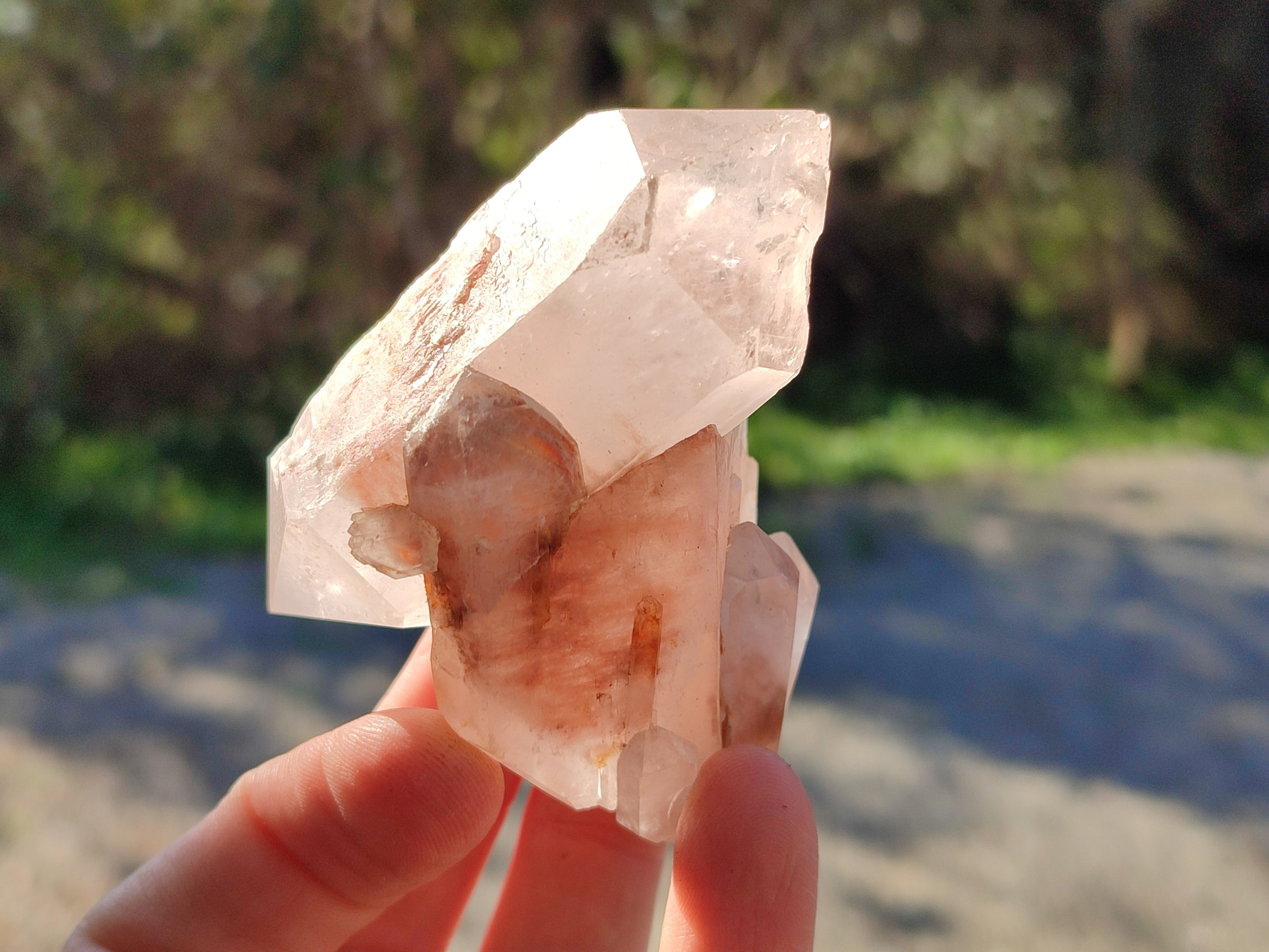 Natural White Multi Terminated Quartz Clusters x 12 From Madagascar - Toprock Gemstones and Minerals 