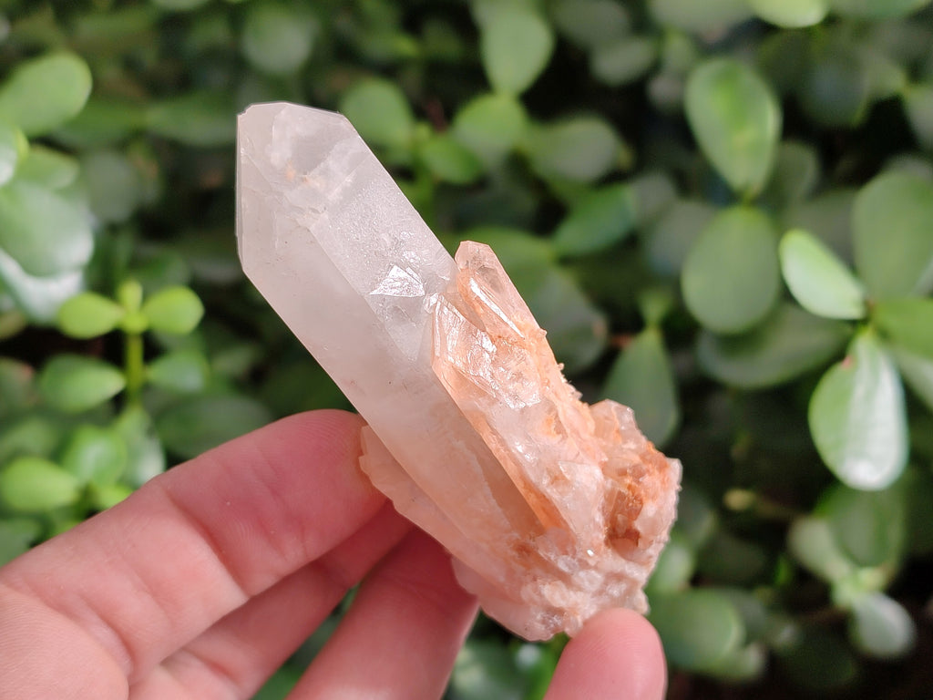Natural White Multi Terminated Quartz Clusters x 12 From Madagascar - Toprock Gemstones and Minerals 