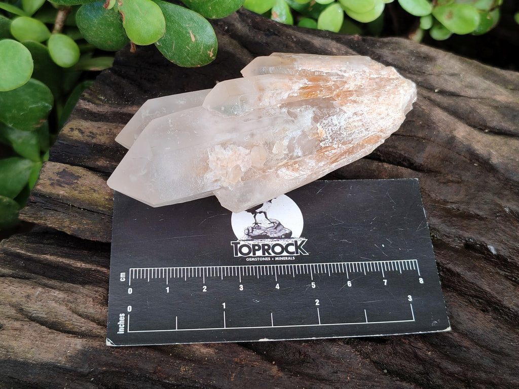 Natural White Multi Terminated Quartz Clusters x 12 From Madagascar - Toprock Gemstones and Minerals 