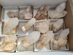 Natural White Multi Terminated Quartz Clusters x 12 From Madagascar - Toprock Gemstones and Minerals 