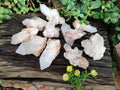 Natural White Multi Terminated Quartz Clusters x 12 From Madagascar - Toprock Gemstones and Minerals 
